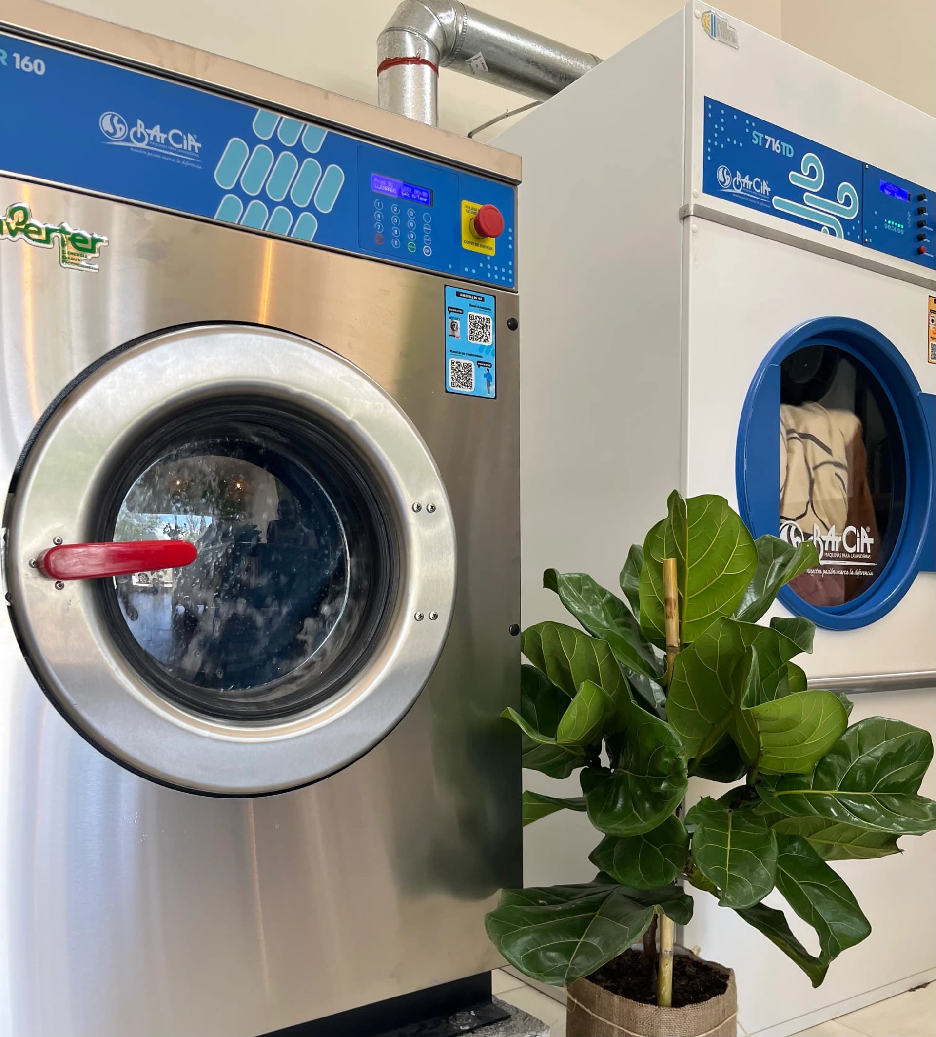 Alquimia Lavandería 11
